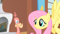 Fluttershy waiting for Philomena to sing S01E22