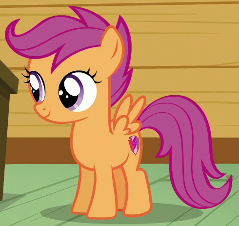 | My Little Pony Friendship Magic Wiki | Fandom