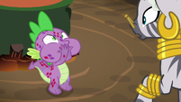Spike about to belch fire at Zecora S8E11