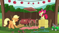 Applejack throws her hat on the ground S6E14