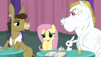 Fluttershy "I'm just guessing" S9E16.png (996 KB)