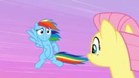 Rainbow Dash and Fluttershy talking about last year's cider season on flight S02E15
