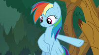 Rainbow insists that Applejack go first S8E9