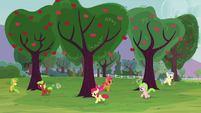 The fillies running around trees S3E08