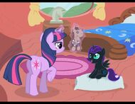 Twilight-and-Nyx-my-little-pony-friendship-is-magic-31330236-900-695