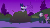 Twilight bush S2E20