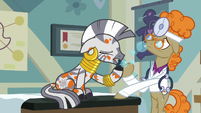 Zecora coughing up bubbles S7E20