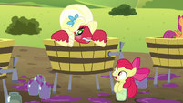 Apple Bloom "you almost squished ME!" S5E17