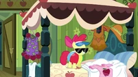 Apple Bloom and beach wear.