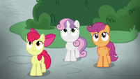 Crusaders watching Fluttershy's students S8E12