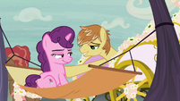 Feather Bangs inviting Sugar Belle on a carriage ride S7E8.png (914 KB)
