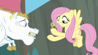 Fluttershy fumbles with horseshoe S4E10