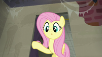 Fluttershy looks at a raccoon S6E9