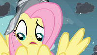 Fluttershy unsure.