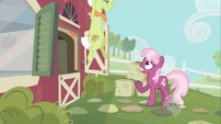 Granny Smith rising S02E12