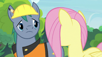 Hard Hat looking at Fluttershy S7E5