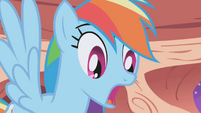 Rainbow Dash "Are you a spy?" S1E02