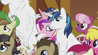 Shining Armor with hoof around Cadance S5E9