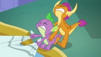 Spike and Smolder pulling on the pillow S8E24