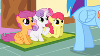 Apple Bloom, is amazed by Dash's Cutie Mark story.