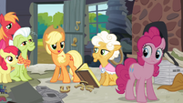 Applejack 'Well, I know for sure!' S4E09