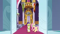 Fluttershy and Rarity enter throne room S9E4