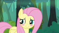 Fluttershy blushing embarrassed S4E18