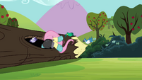 Fluttershy in the log S3E05