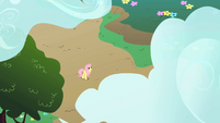 Fluttershy watches from below.