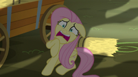 Fluttershy screaming at Granny S5E21