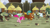 Pinkie Pie and yaks continue to stomp S7E11