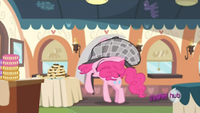 Pinkie runs up to table S2EP24