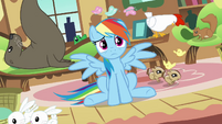 Rainbow Dash -it's up to me to stop them- S03E13