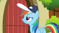 Rainbow Dash knock on Fluttershy's door S2E22