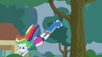 Rainbow Dash leaping into a bush EG3