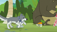 Sandra the wolf chasing the mice S9E18