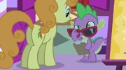 Going to a Pony Tones performance in Filli Vanilli.