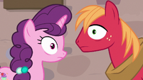 Sugar Belle and Big Mac hear the CMCs d'awwing S7E8