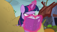 Twilight with her nose in her portfolio S5E23