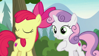 Apple Bloom agreeing with Sweetie Belle S7E21