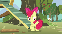 Apple Bloom uncomfortable and hiding her flank S5E4