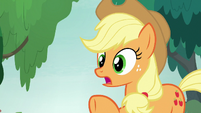 Applejack "there's still plenty o' time" S8E9