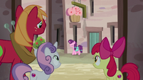CMCs and Big Mac watch Sugar Belle from alleyway S7E8