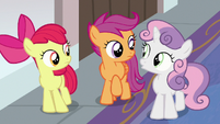 Cutie Mark Crusaders look at each other S8E12