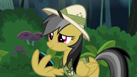 Daring Do thanking Rainbow and Quibble S6E13
