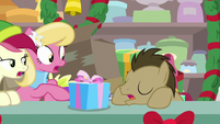 Dr. Hooves napping next to flower ponies MLPBGE