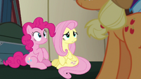 Fluttershy confused --we don't--- S6E18