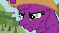 Grapejack serious S02E05.png (316 KB) Sisterhooves Social