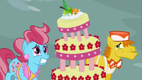 Mr and Mrs Cake worried S2E24