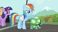 Rainbow Dash with Tank S2E07